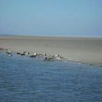 Ferienlager Liebfrauen auf Ameland 2006