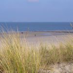 kfd auf Wangerooge 2007