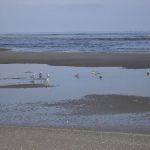 Ferienlager Liebfrauen auf Ameland 2007