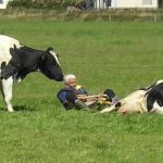 Ferienlager Liebfrauen auf Ameland 2007