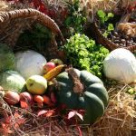 Ökumenischer Erntedankgottesdienst bei bestem Wetter