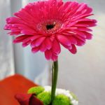 Jubiläum 75 Jahre Heilig Kreuz