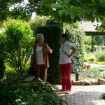 kfd Liebfrauen zu Besuch im Garten