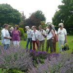 kfd Liebfrauen zu Besuch im Garten