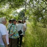 kfd Liebfrauen zu Besuch im Garten