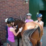 Ferienstart auf dem Ponyhof Böcker, Suderwick