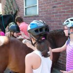 Ferienstart auf dem Ponyhof Böcker, Suderwick