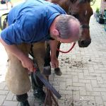 Ferienstart auf dem Ponyhof Böcker, Suderwick