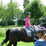 Ferienstart auf dem Ponyhof Böcker, Suderwick