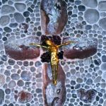 Chorreise ins Ammerland