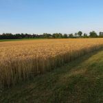 Pfarrgemeinderat und Kirchenvorstand auf Pättkestour