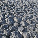 Ameland Safari Tour - Bergfest