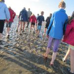 Ameland Safari Tour - Bergfest