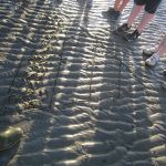 Ameland Safari Tour - Bergfest