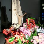 Besinnungstage auf Wangerooge