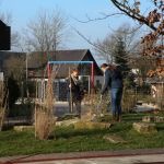 Aufräumaktion auf dem Spielplatz in Barlo