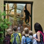 Ferienspiele im Kreuzer - Ein Besuch im Zoo