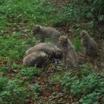 Burgers Zoo - Ferienspiele im Kreuzbergheim