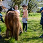 Pferdeprojekt in der Kita Hl. Kreuz