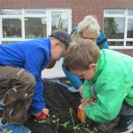 Wir bepflanzen unser Hochbeet