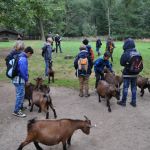 Herbstferienspiele im Kreuzbergheim