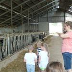 Woher kommt die Milch? Hl. Kreuz Kita Kinder machen sich auf den Weg.