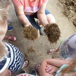 Woher kommt die Milch? Hl. Kreuz Kita Kinder machen sich auf den Weg.