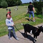 Der Wolf und die sieben Geislein | Sommerferienspiele 2017 Tag 2