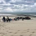 Ameland 2018 – Hochzeit, Wiesenspiele und Strand