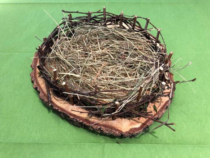 Impuls am Abend - Empty Nest