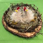 Impuls am Abend - Empty Nest