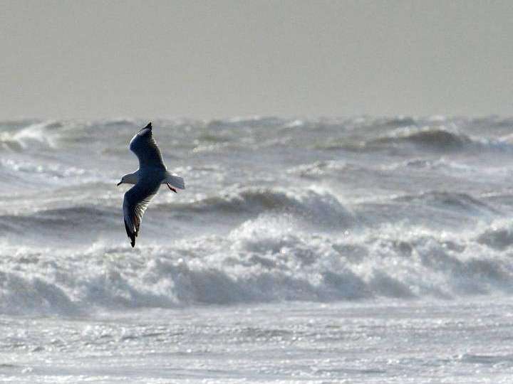 Impuls am Abend - Im Meer der Zeit