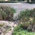 Impuls am Abend - Dürres trockenes Land