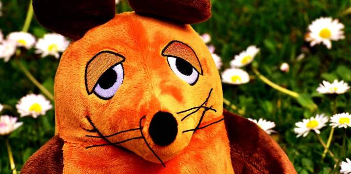 Impuls am Abend - Die Maus!