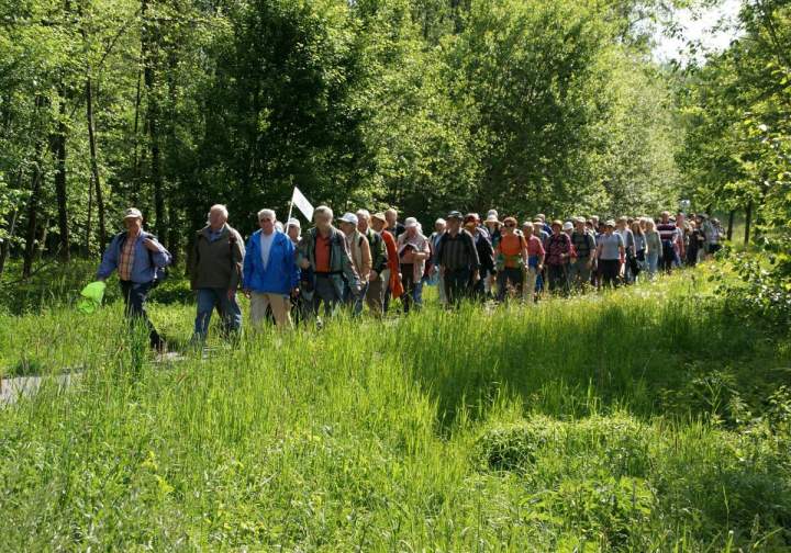 Impuls Fastenkalender - Aufbruchstimmung