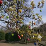 Kirchenchor Herz-Jesu: 