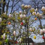 Kirchenchor Herz-Jesu: 