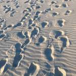 Sportliche Grüße von der Insel Ameland!