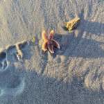 Sportliche Grüße von der Insel Ameland!