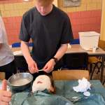 Viel Action im Ferienlager auf Ameland