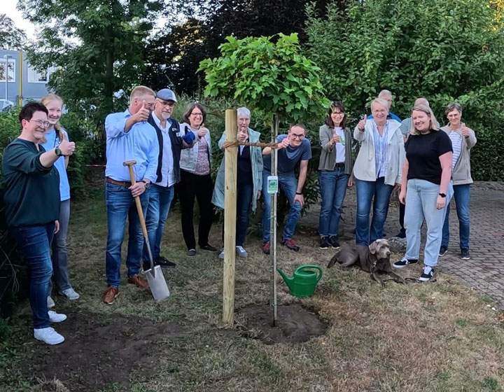Bampflanzchallenge angenommen und Baum innerhalb von 48 Stunden gepflanzt