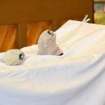 Karneval pur beim Herz-Jesu-Chor: Bocholter Karnevalsprinz Max I. zu Gast