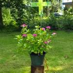 Nachlese