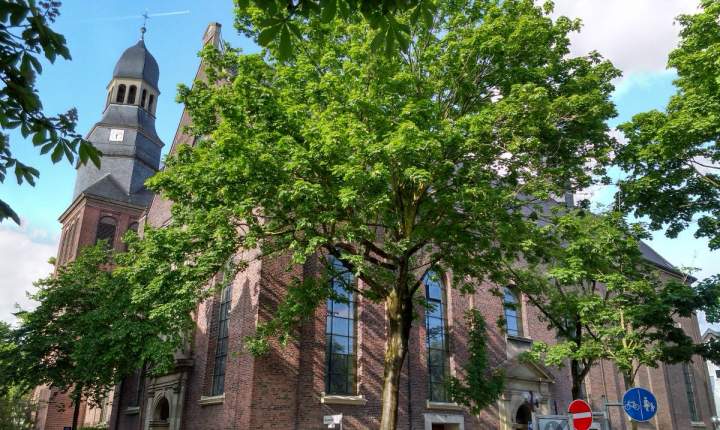 Heilige Messe zu Palmsonntag