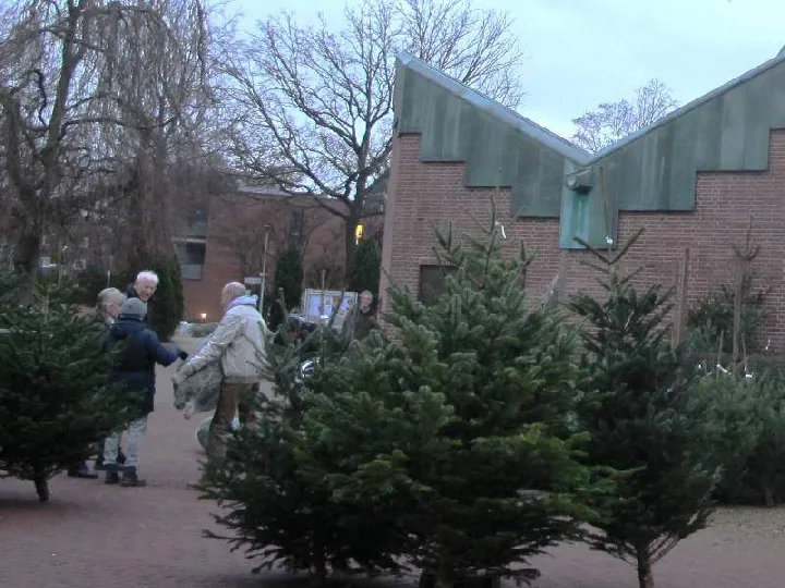 Weihnachtsbaumverkauf auf dem Kirchplatz St. Paul