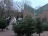 Weihnachtsbaumverkauf auf dem Kirchplatz St. Paul